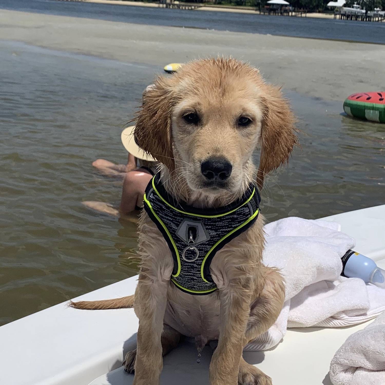 Title: Waylon’s First Ride - On board their Sportsman Masters 227 Bay Boat - Location: Jacksonville FL. Participating in the Photo Contest #SportsmanNovember