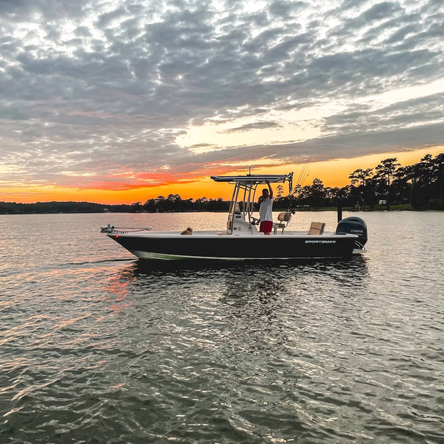 An evening sunset cruise and a few casts with my fishing buddy, and family Pup, Fin.