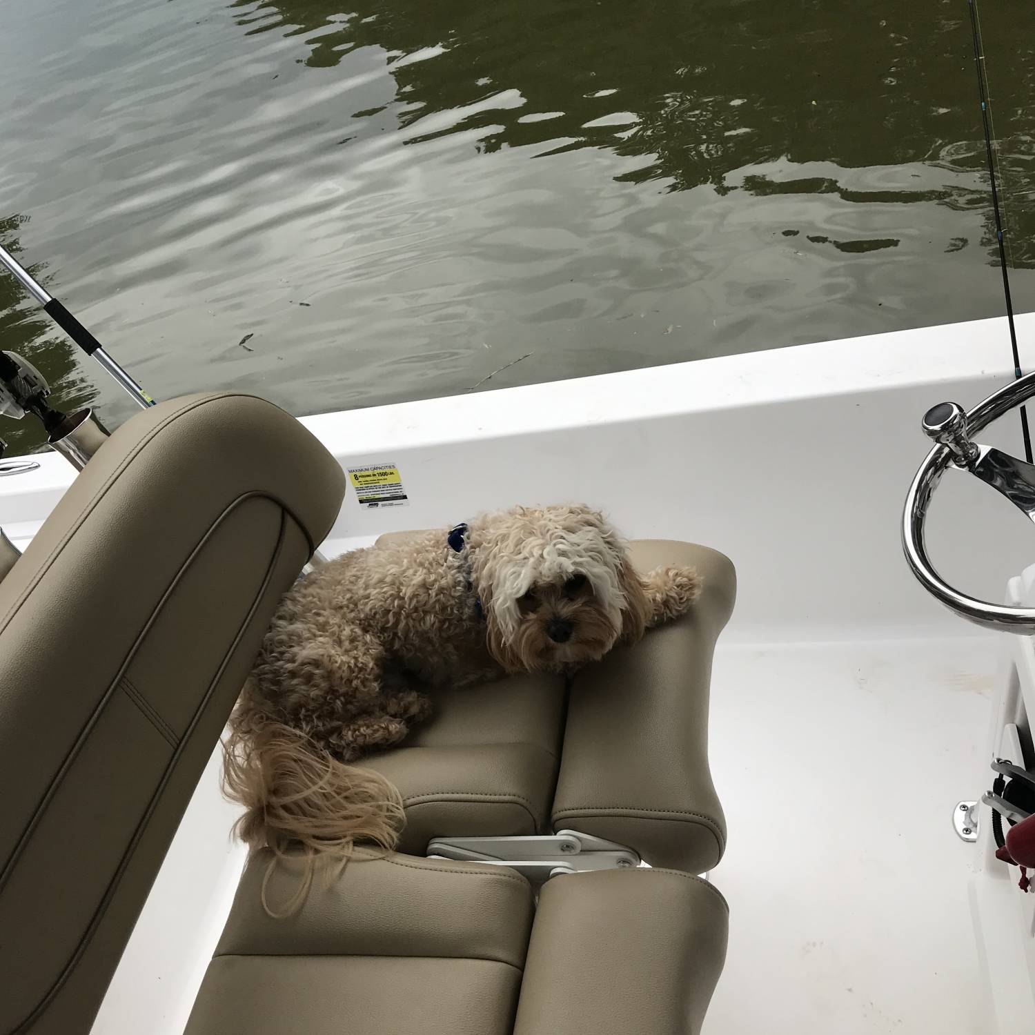 Fin was driving the Sportsman to go do a little fishin with the men!