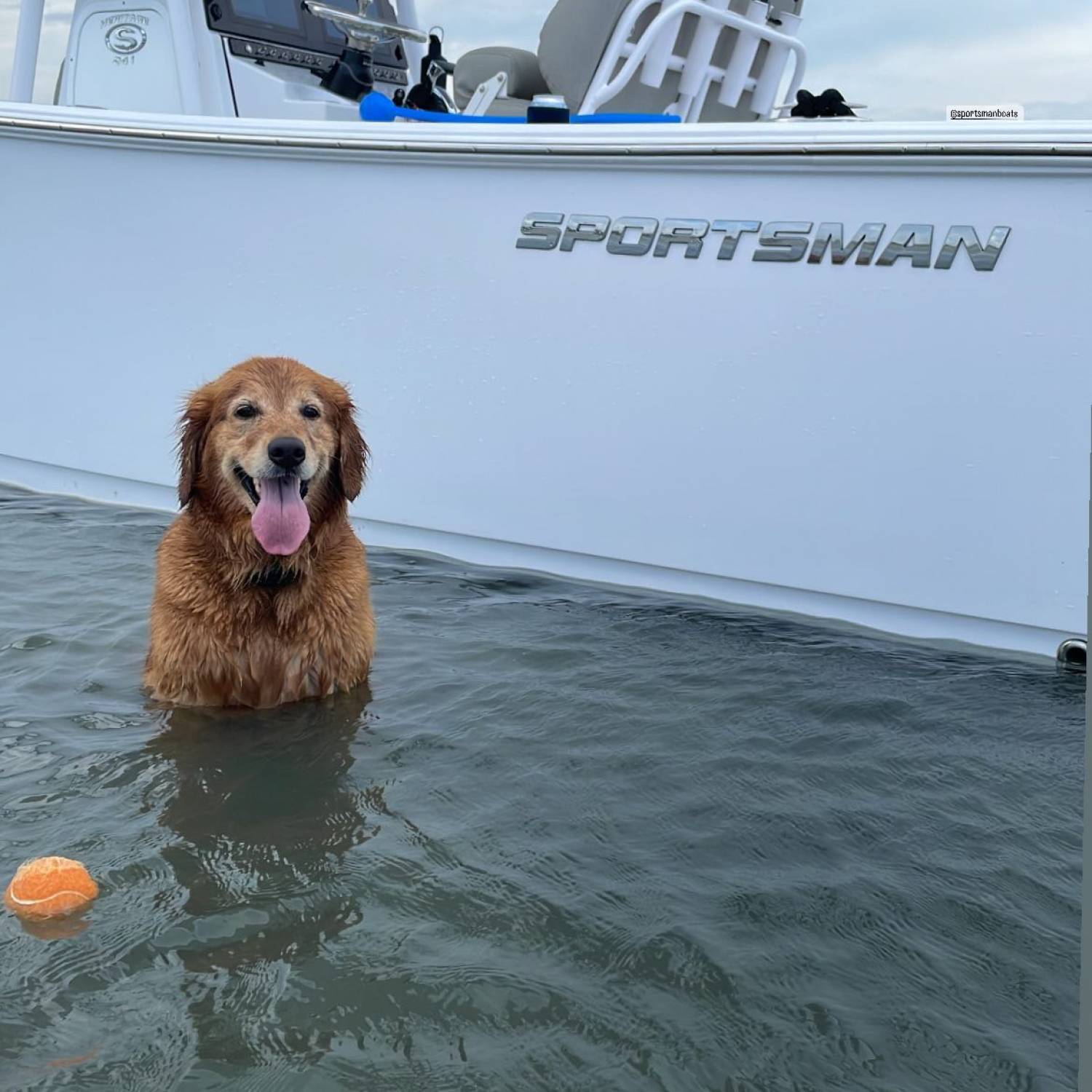 Emmy patiently waiting for dad to throw the ball