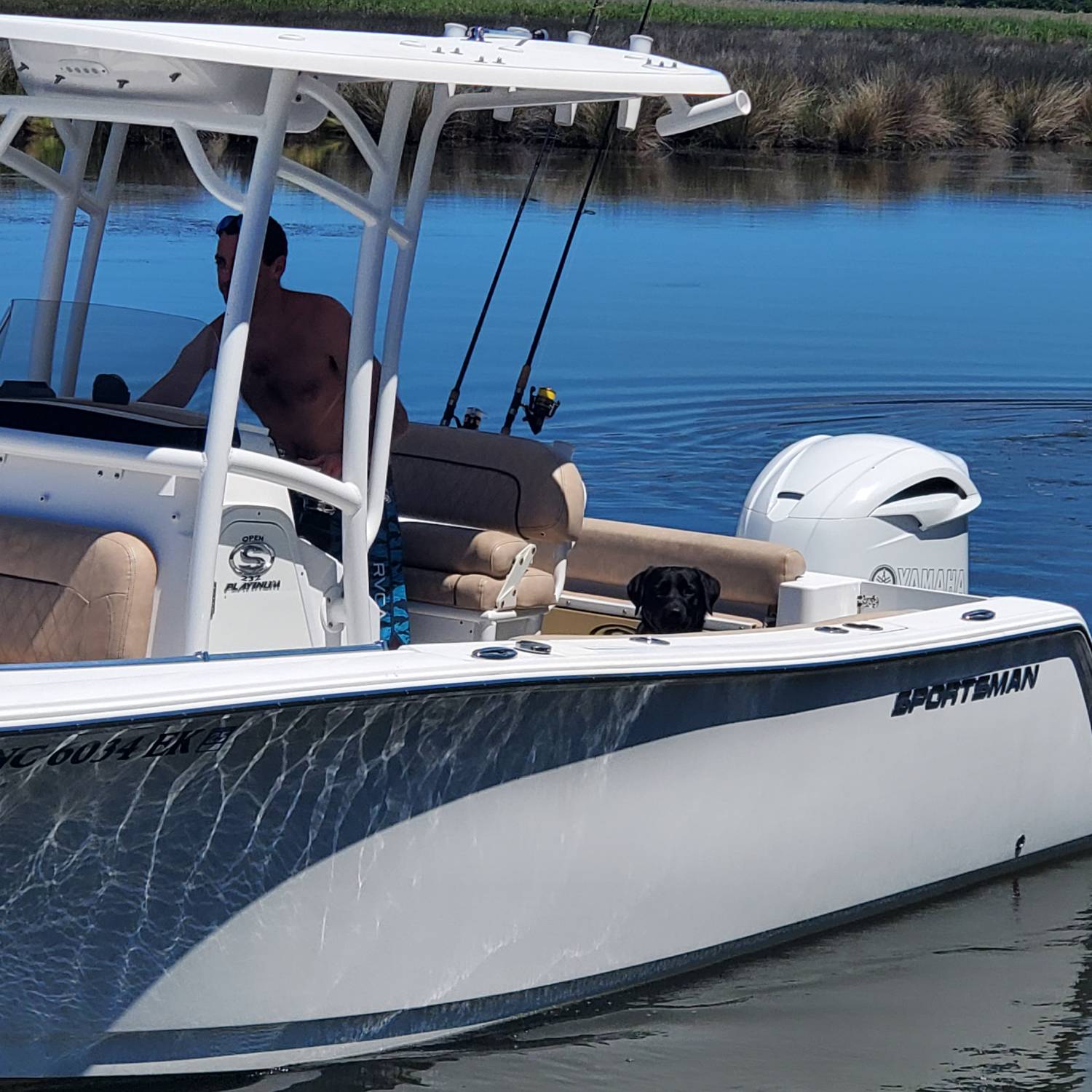 Rowdy out for a cruise.