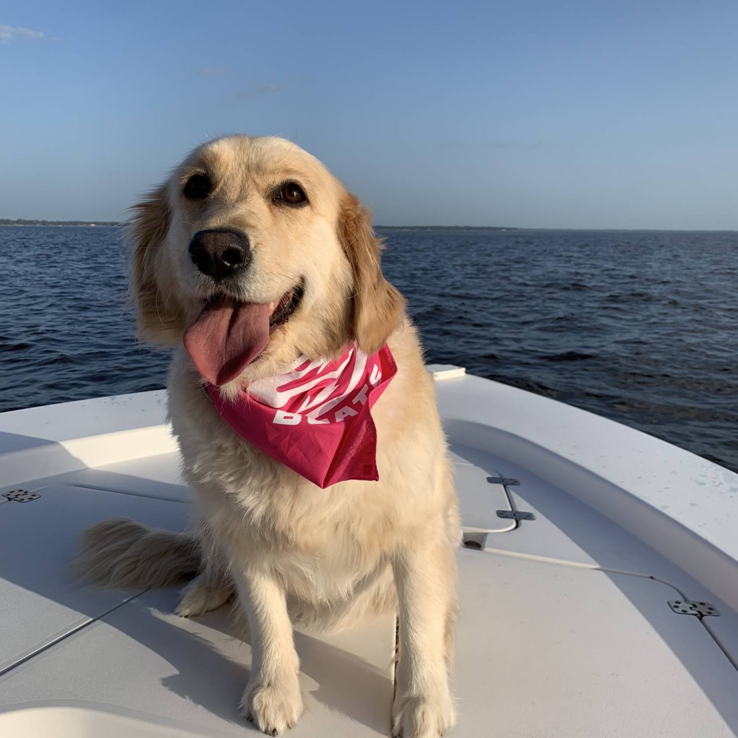 Annie girl loves the boat!