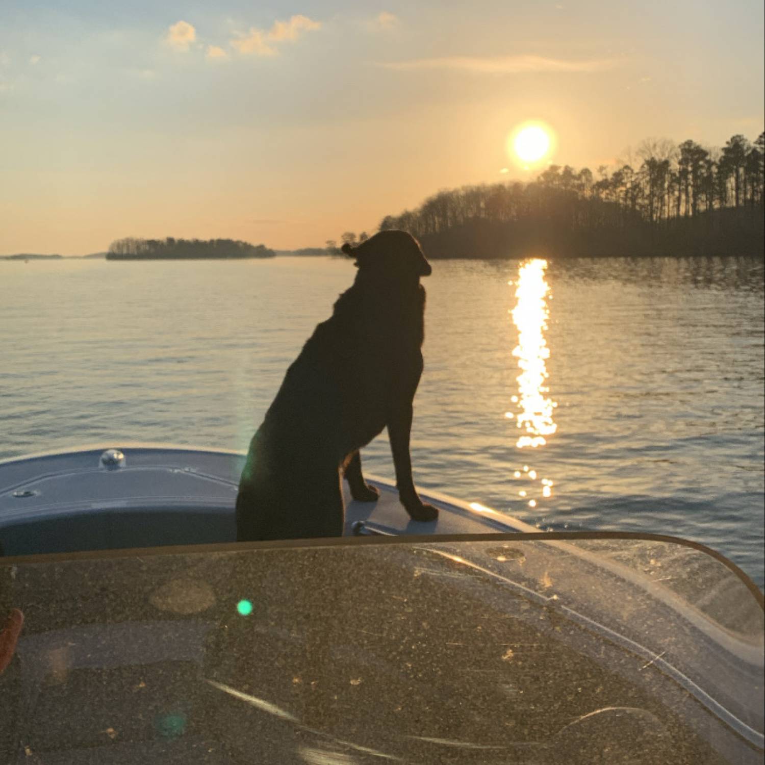 Sunset cruise