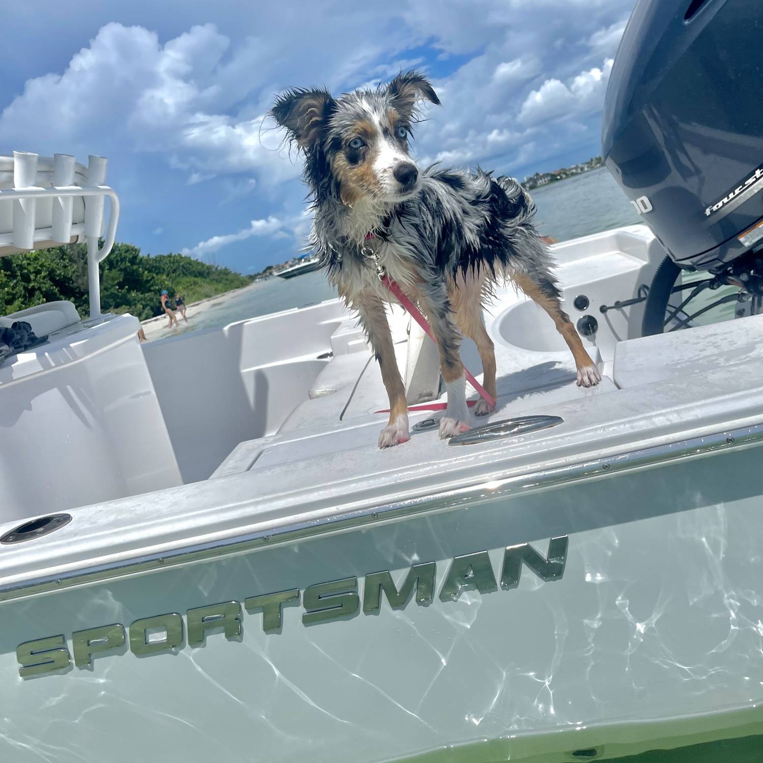Title: Remi girl on “Hallin Them In” - On board their Sportsman Masters 247OE Bay Boat - Location: Sarasota beach. Participating in the Photo Contest #SportsmanSeptember