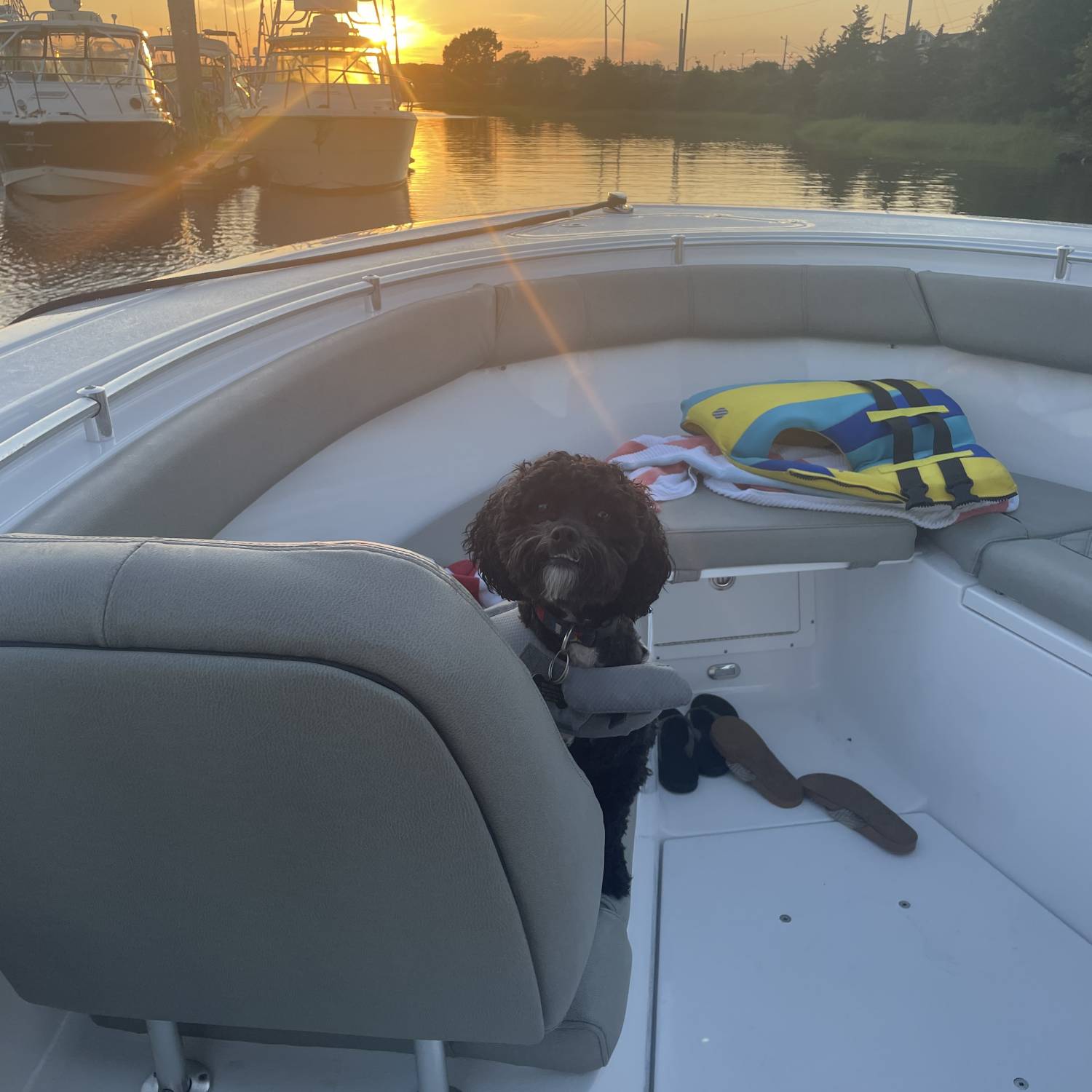 Our buddy Bill Belichick loves sunsets on the bow