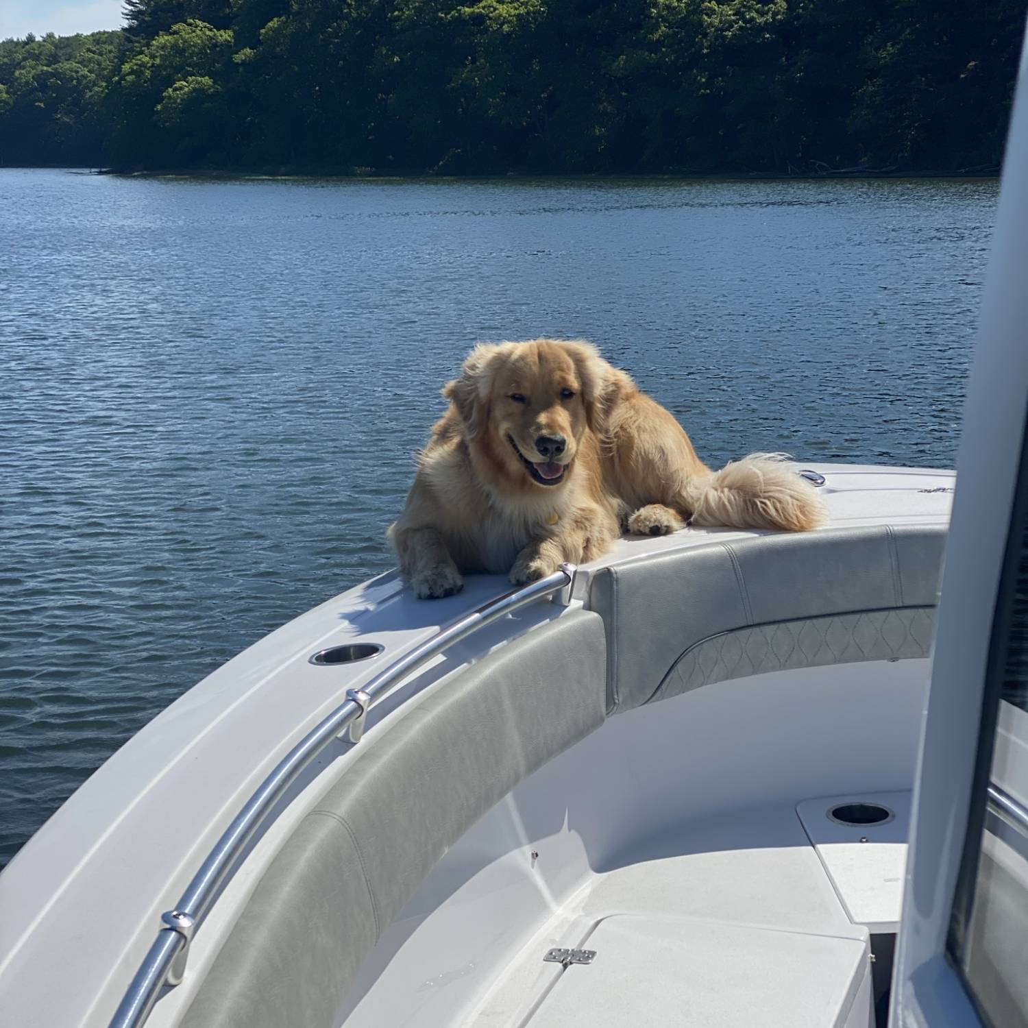 Jettie taking the first ride of the new year to the slip,