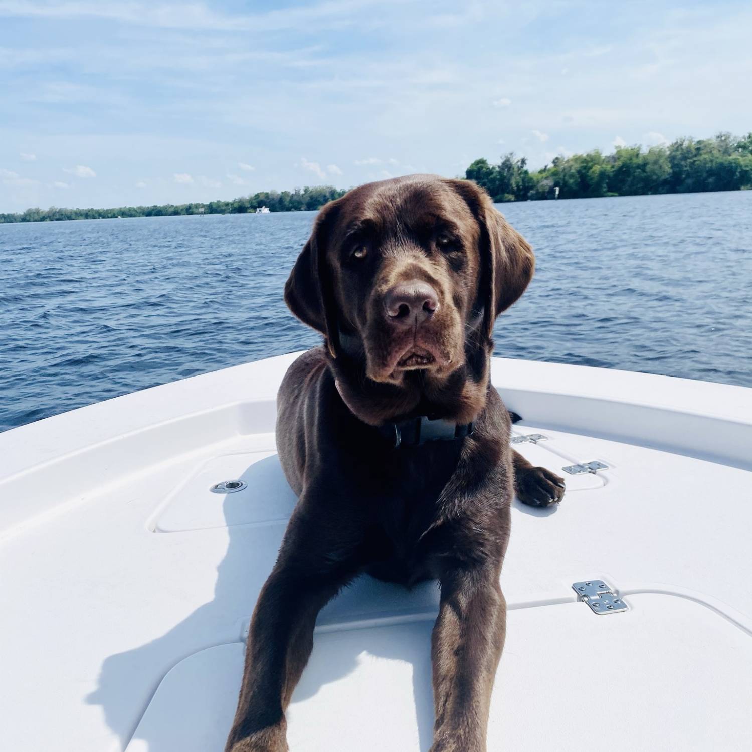 Enjoying a Sunday on our Sportsman  boat. I love being on the front