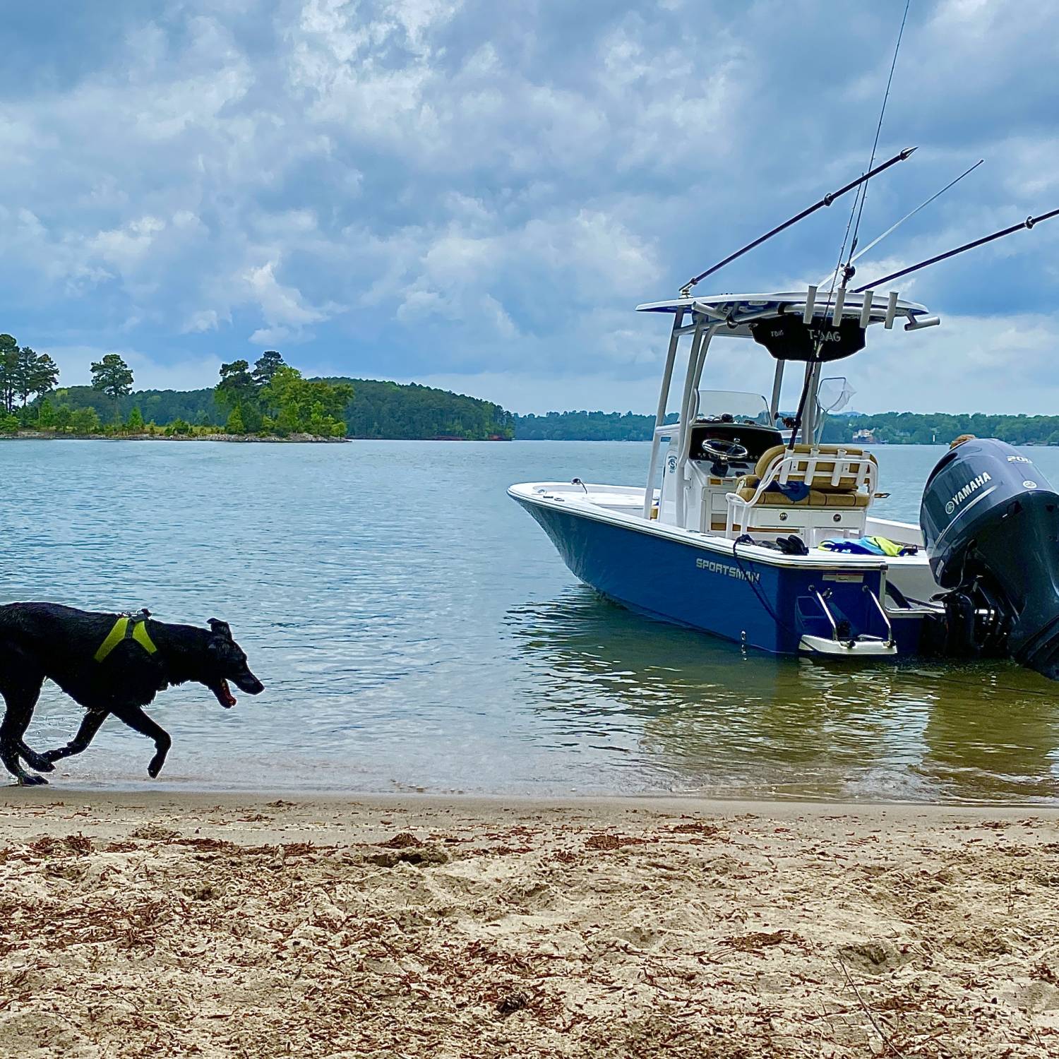 Bailey loves going on the Masters 227 and likes to explore new spots on the lake!