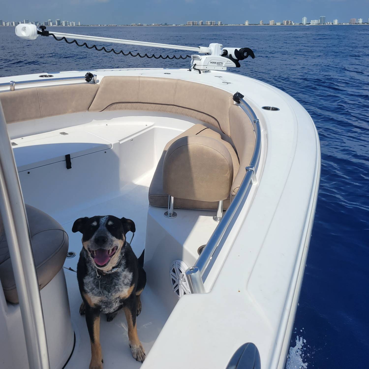 Took Ace out for his maiden voyage aboard our 2019 232 Open. He loved ever second of it.