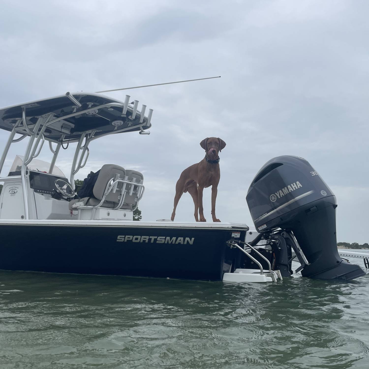 Sandbar pic