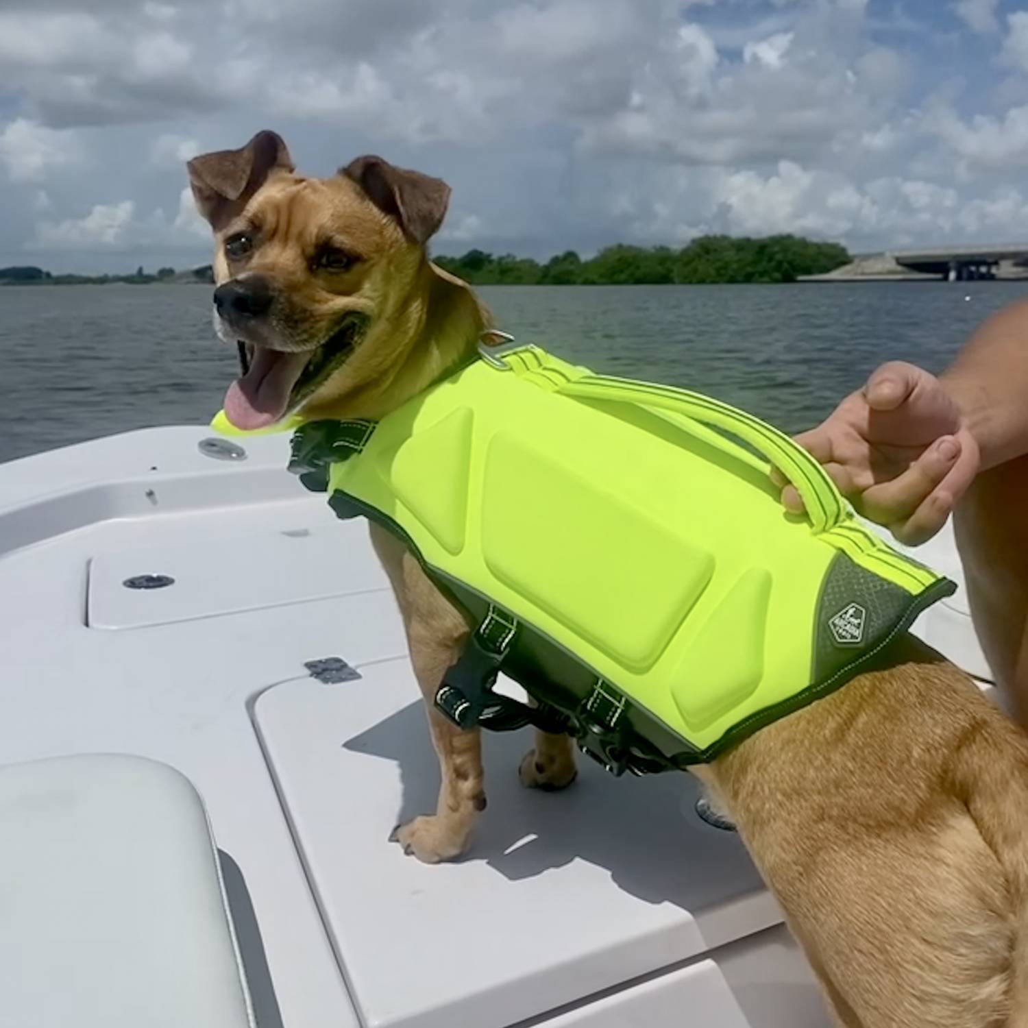 Enjoying a beautiful day on the sportsman with my boat dog!