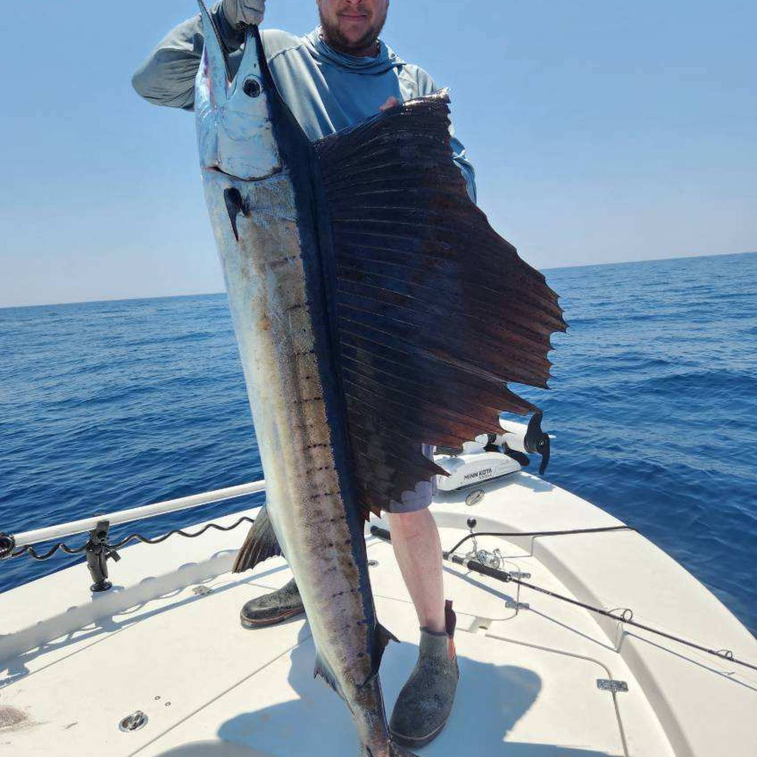 We ran 40 miles SE of orange Beach. Ended up finding a nice patch of grass. Pitched a bait on a...