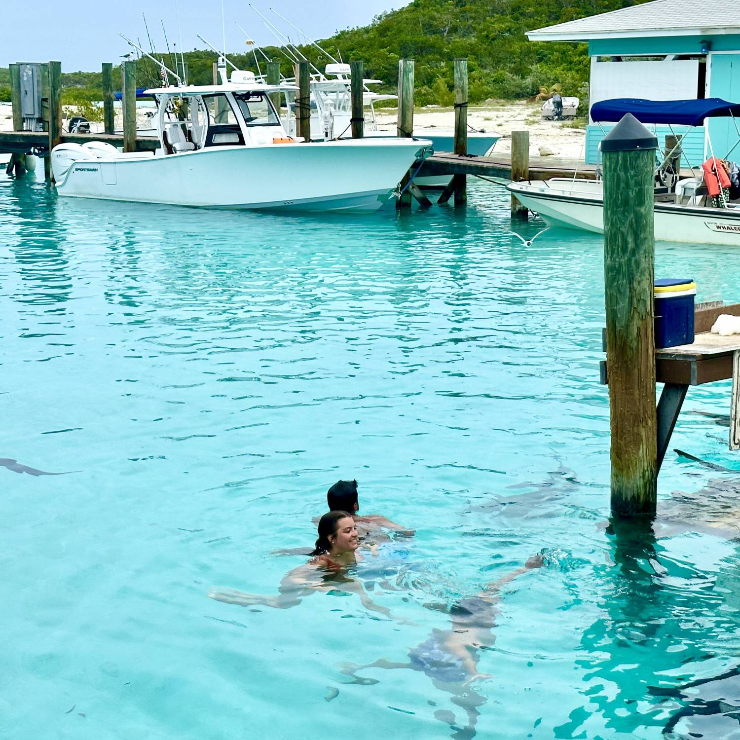 Title: Swimming with the sharks - On board their Sportsman Open 322 Center Console - Location: Compass Cay Bahamas. Participating in the Photo Contest #SportsmanJuly2023