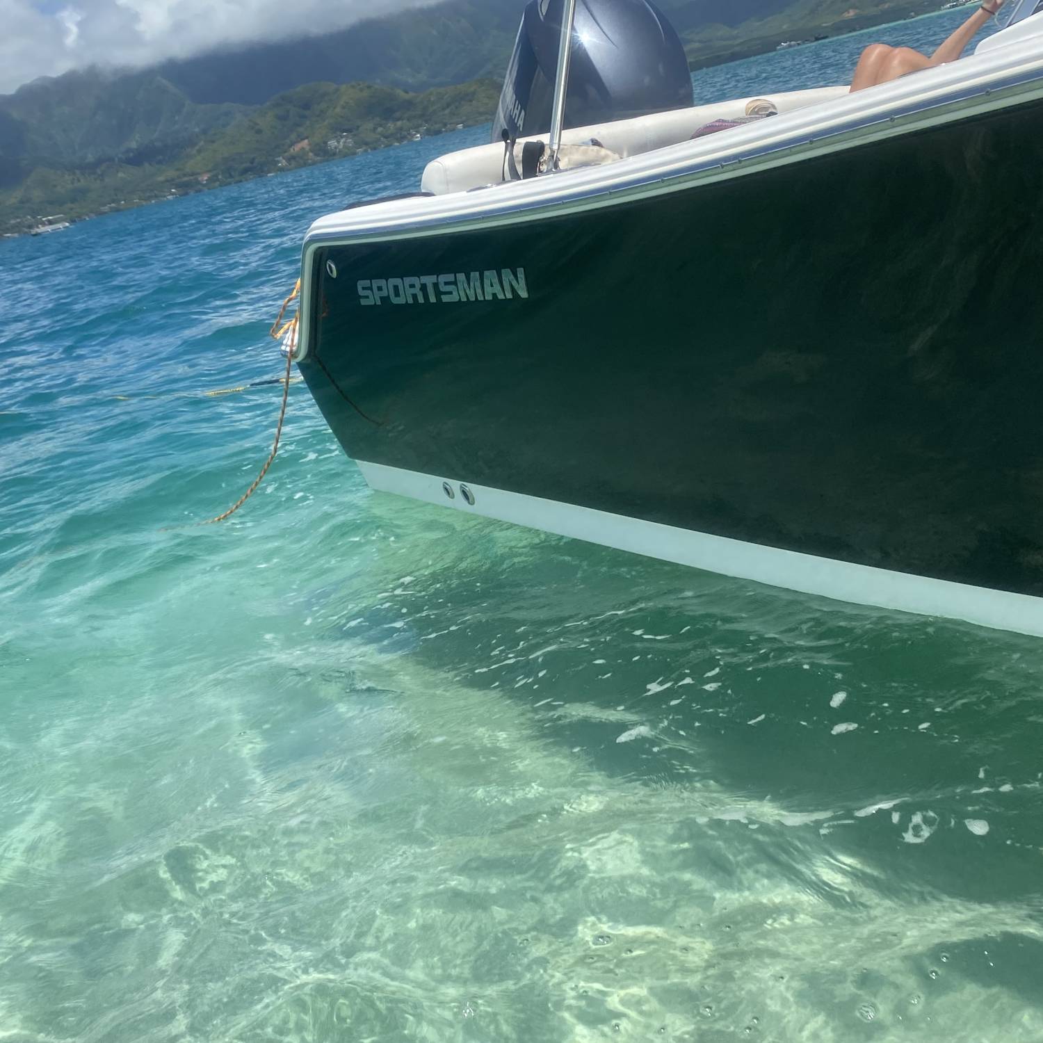 Nothing better than a lazy sand bar day in the Hawaiian Islands.