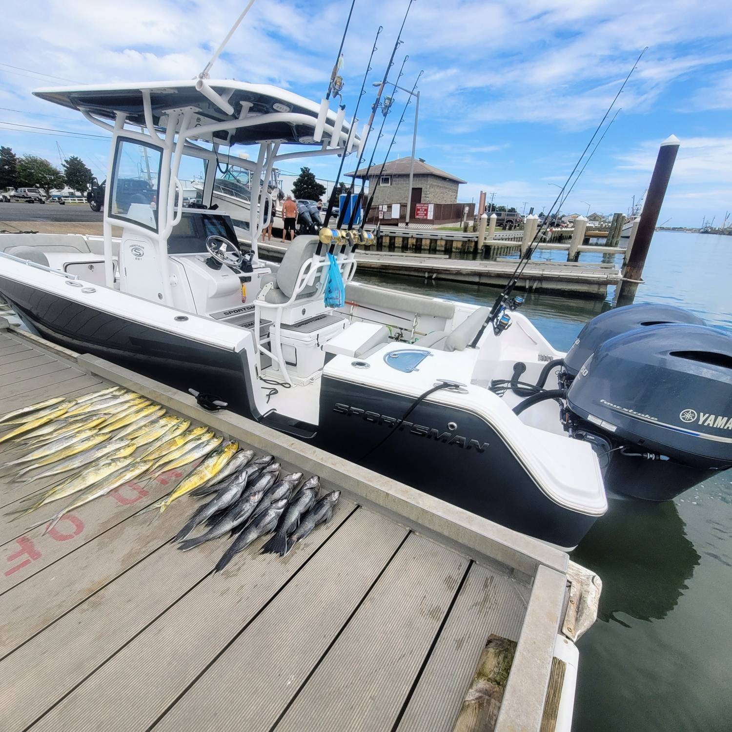 First trip in the ocean with 30 miles offshore total trip was about 82 miles we caught some mah...