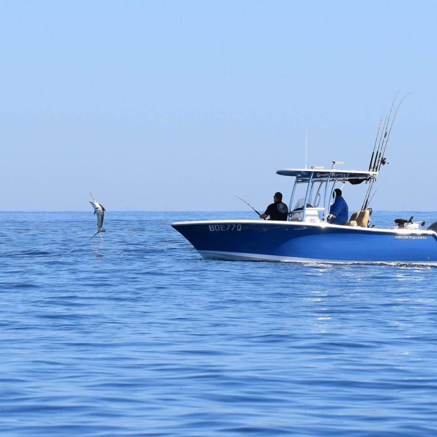 Marlin jumping hooked o in front of my sportsman
