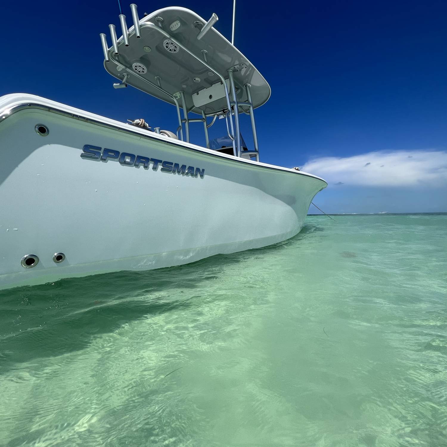 A day on the sandbar while celebrating my mom’s 70th birthday in Marathon, FL