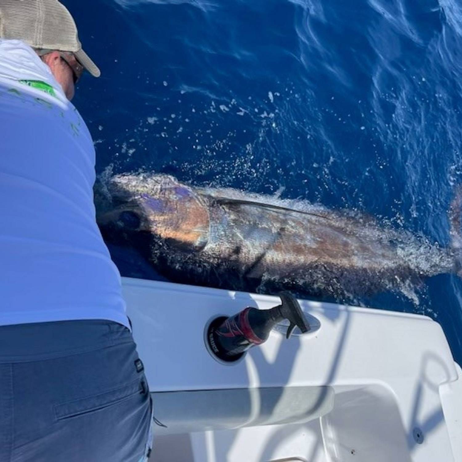 300lb Blue Marlin caught 10 miles East of the big rock in 190 fathoms.  We went one for one wit...