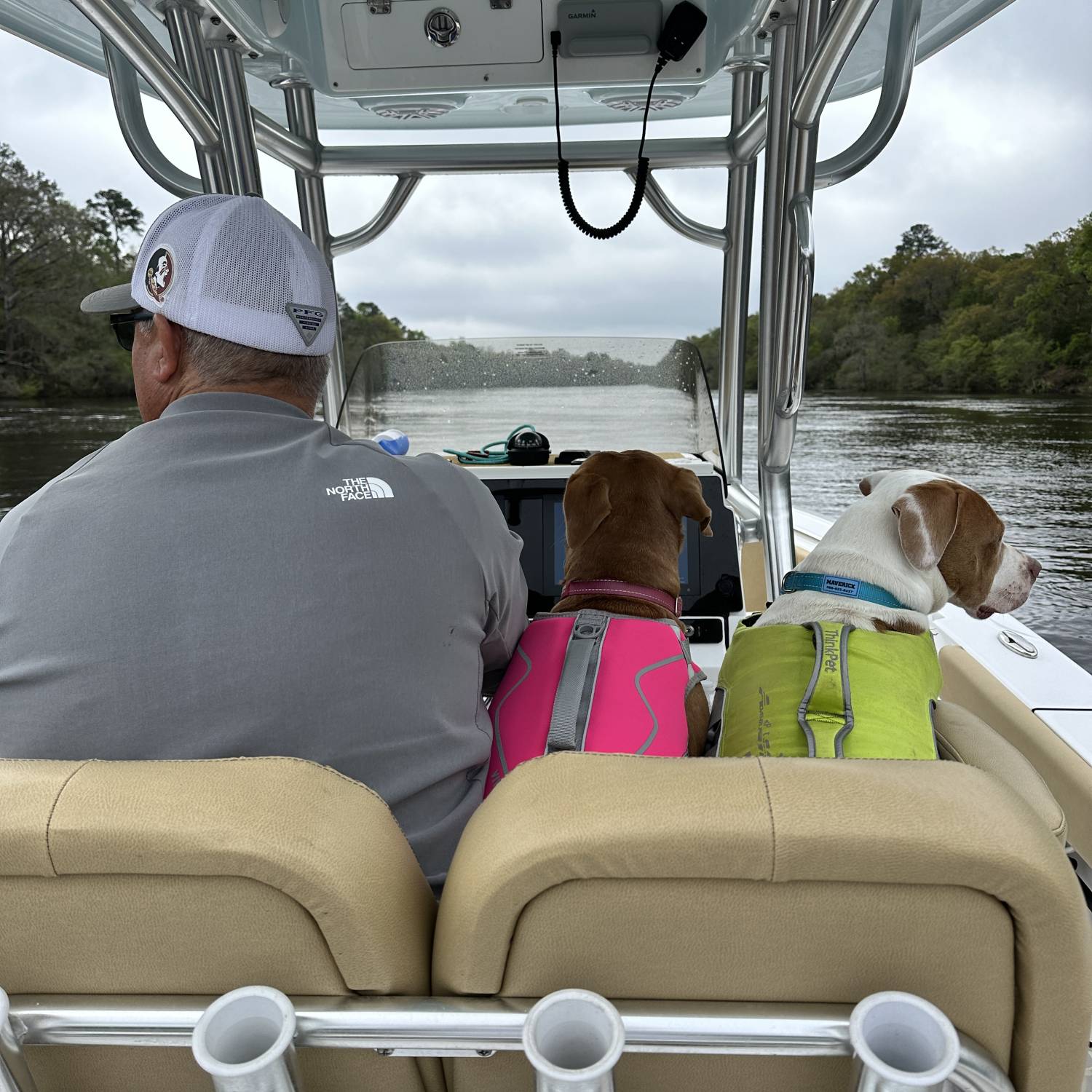 Fun day river riding with the pups!