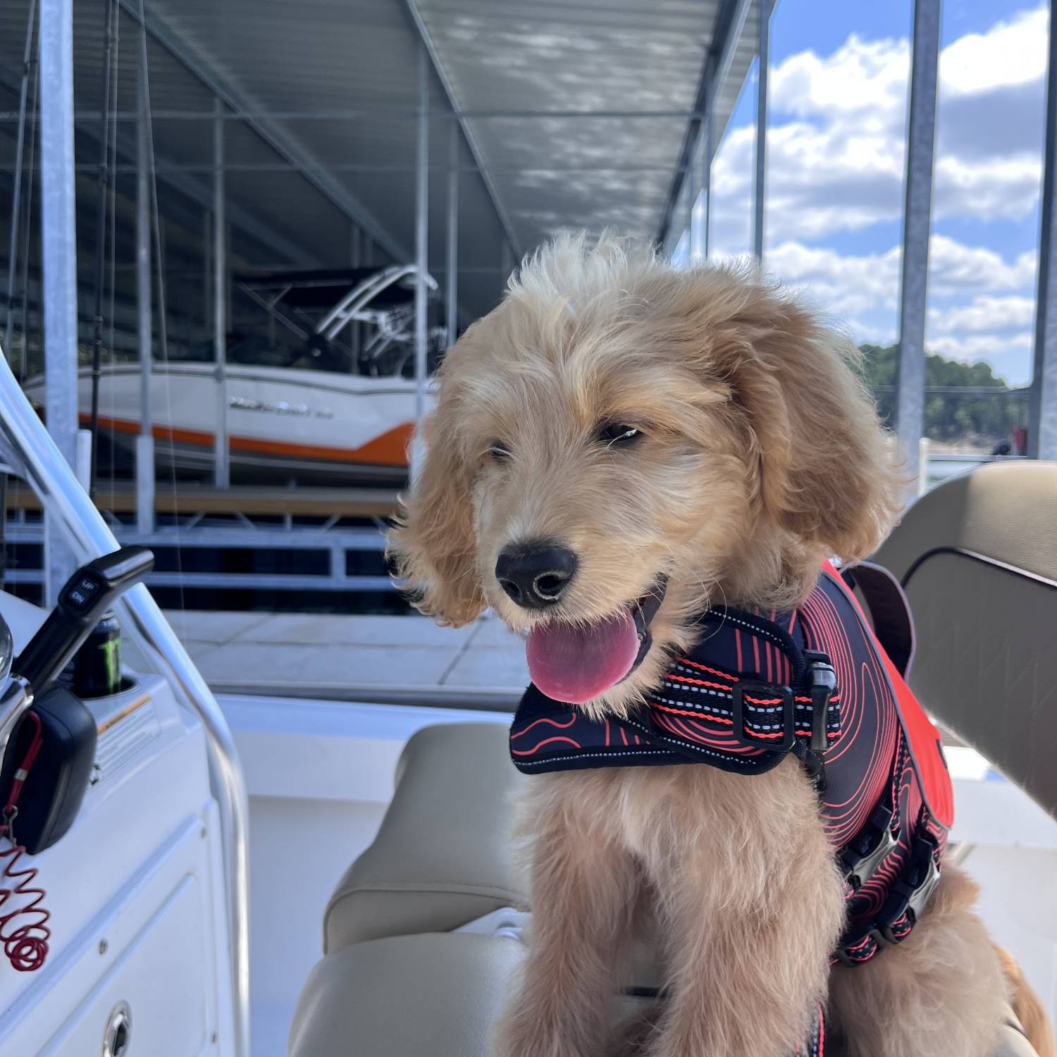 Title: “Cap”. Short for Capitain - On board their Sportsman Masters 227 Bay Boat - Location: Broken Bow Lake, OK. Participating in the Photo Contest #SportsmanApril2024