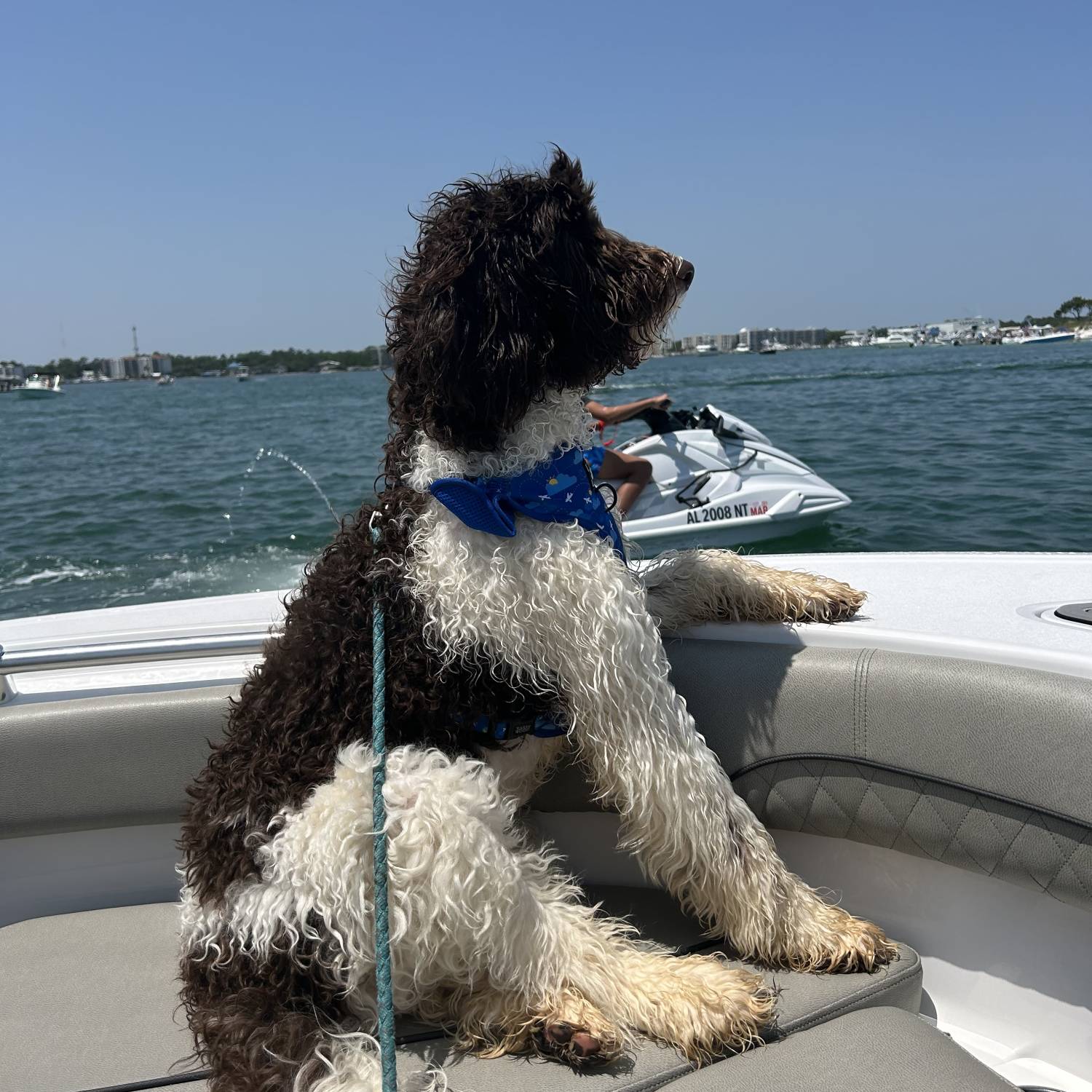 Izzy’s first day on the boat.
