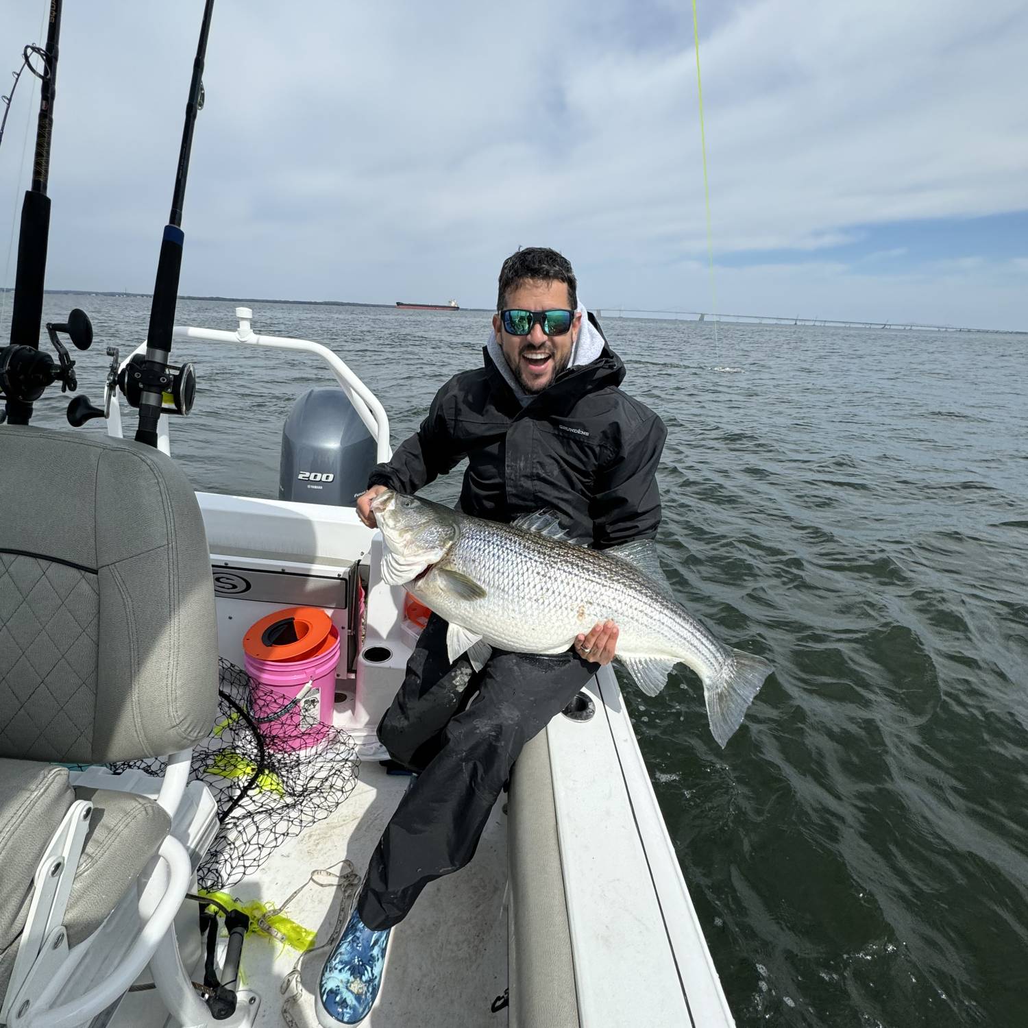 Caught a 43-inch striped bass (locally called rockfish) trolling in the bay.