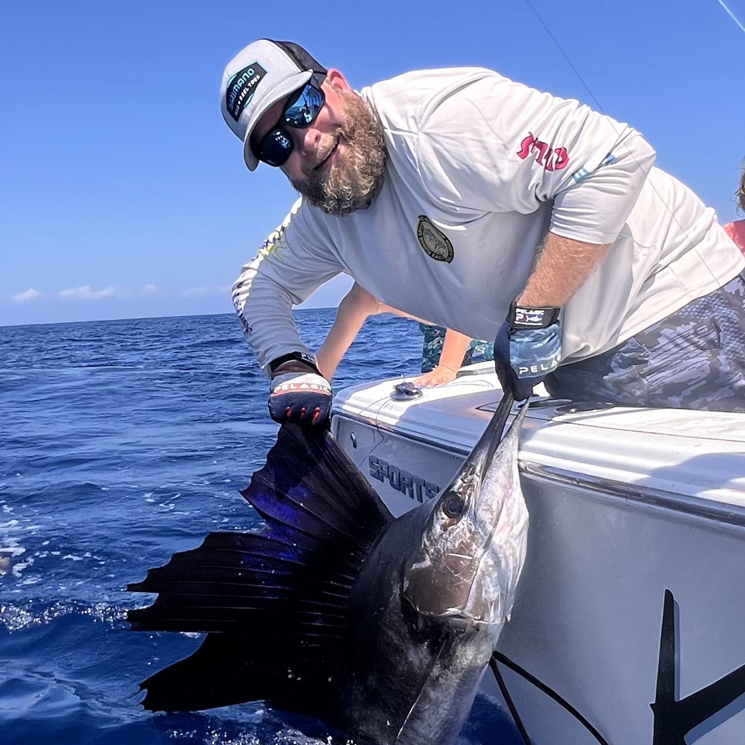 My largest sailfish I have caught on my Open 232.