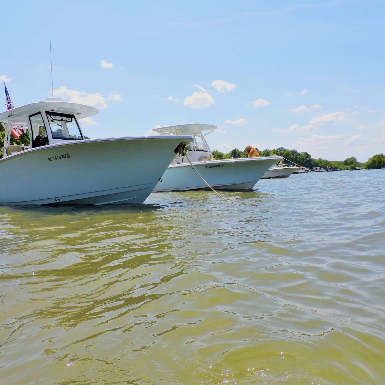 Here is our open 282 anchored at the sandbar on lake Marion in SC