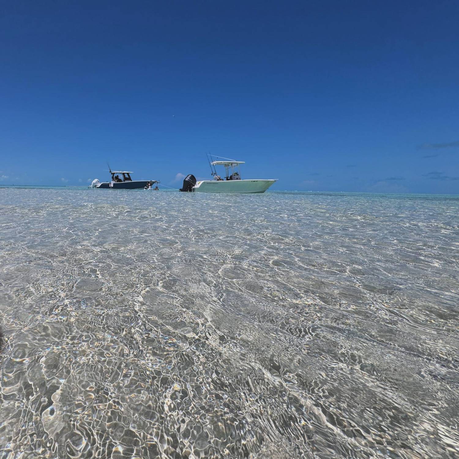 At Brown Kay Bimini