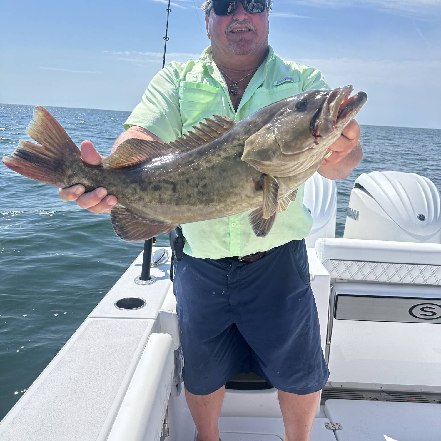 Trolling for grouper