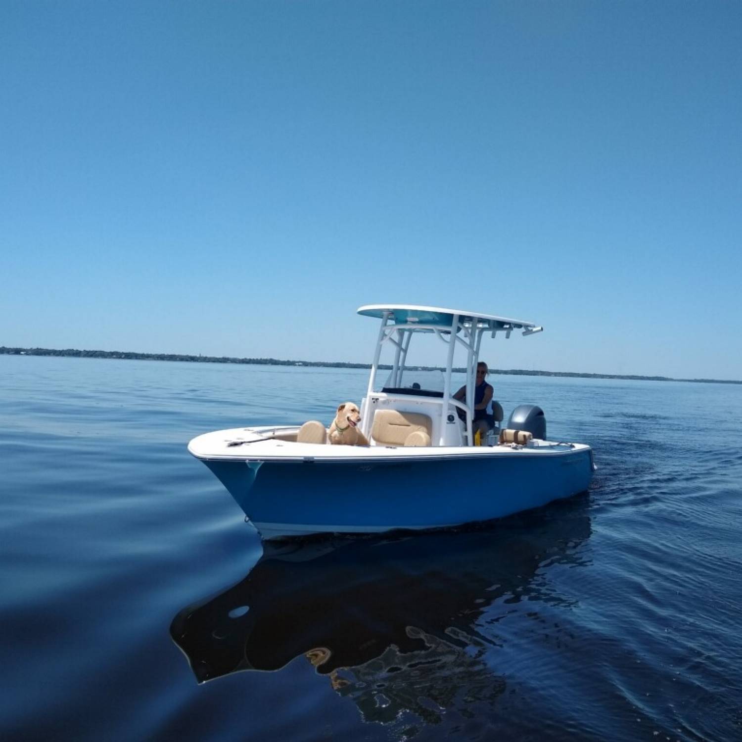 Flying solo (if you don’t count the dog)!from Jacksonville to Astor on the St John River.