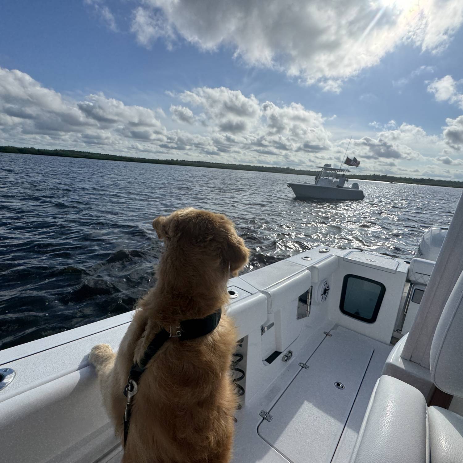 Out here on our Sportsman, sea breeze in my fur and uncle Billy in sight. Two Boats, one bond –...