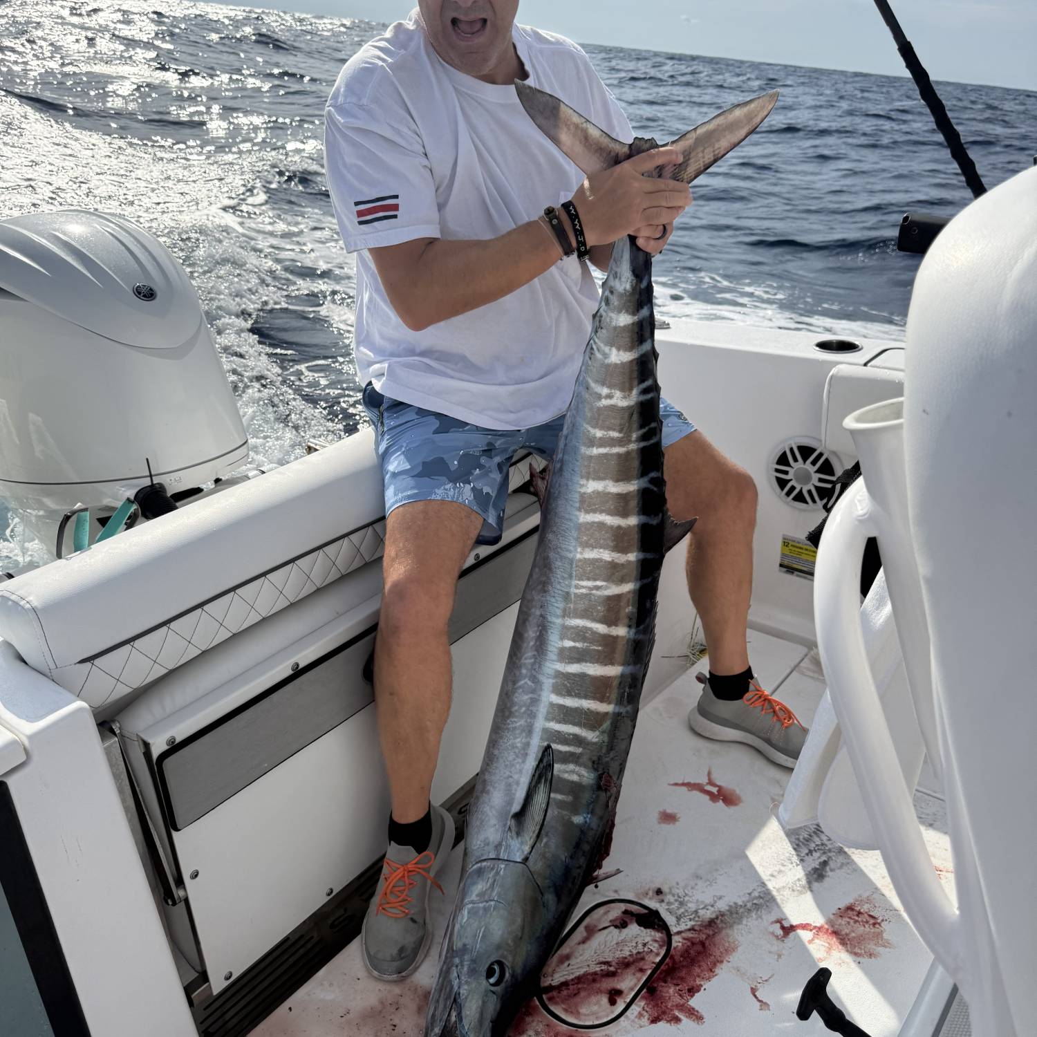 First wahoo caught on my 252
