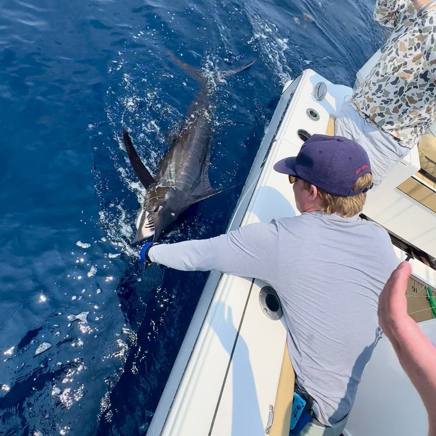 300-pounder released on the 282