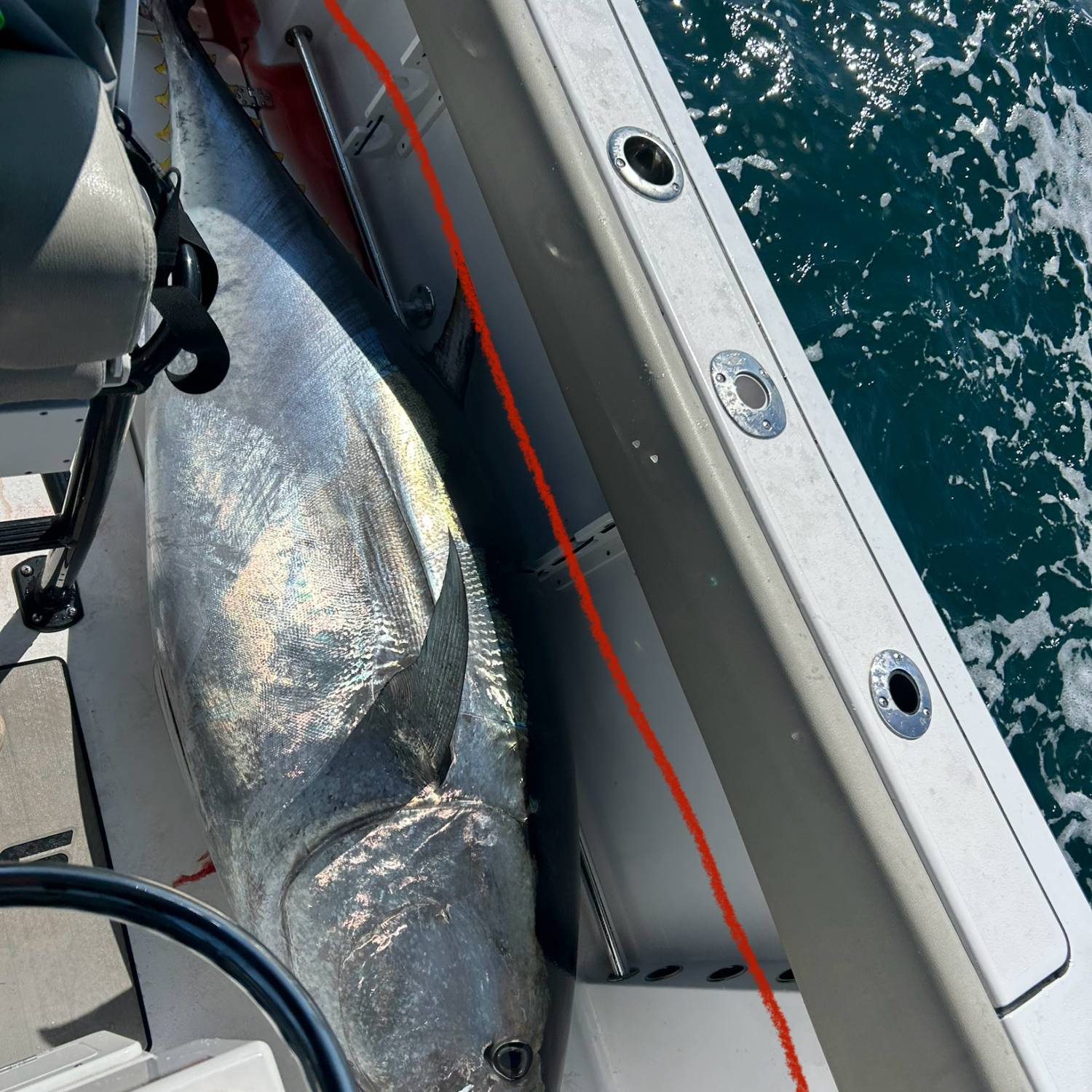 87 inch 386 pound Blue Fin Tuna caught off of Hatteras NC.