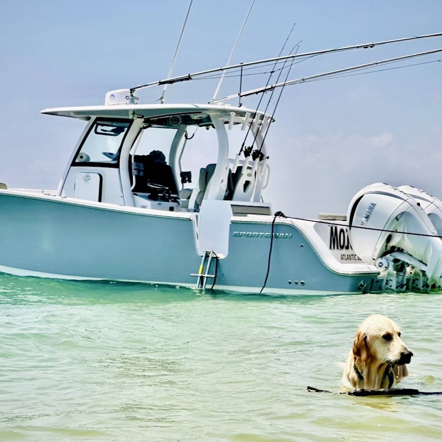 Just friends hanging out swimming with our dog Beau during a day of island hopping.